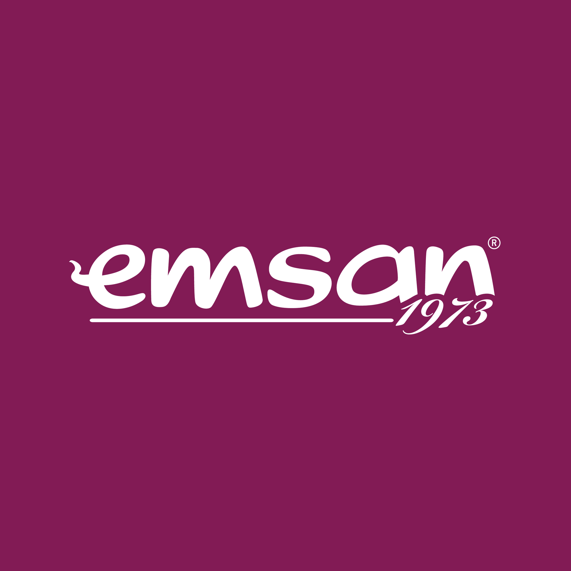 emsan seeklogo